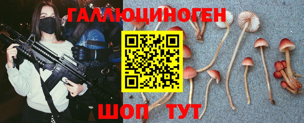 Галлюциногенные грибы Psilocybine cubensis  Вход с VPN  Рубцовск 