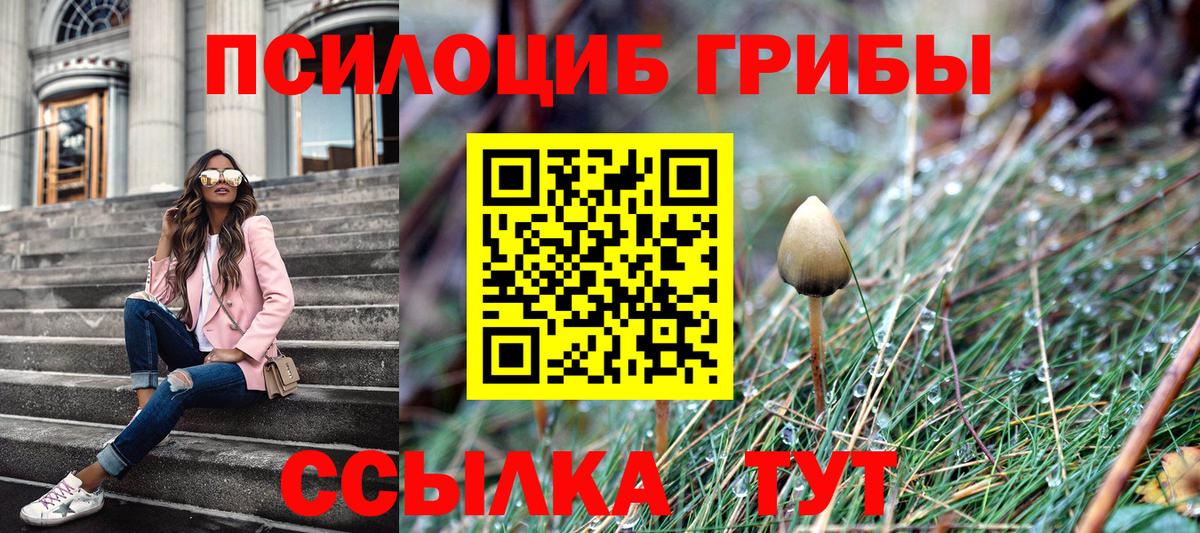 Псилоцибиновые грибы ЛСД Рубцовск